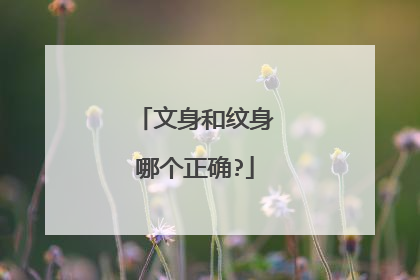 文身和纹身哪个正确?