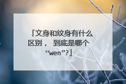 文身和纹身有什么区别， 到底是哪个“wen”?
