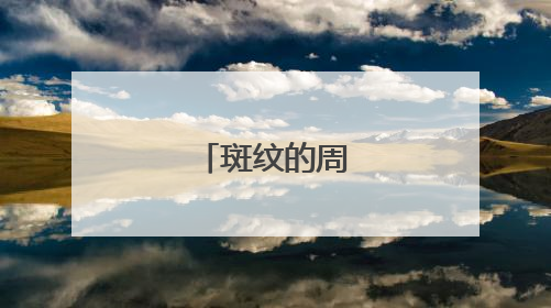 斑纹的周晓枫作品