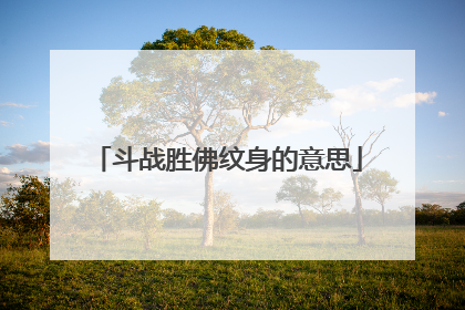 斗战胜佛纹身的意思