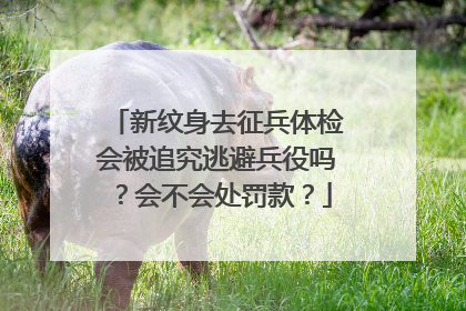 新纹身去征兵体检会被追究逃避兵役吗？会不会处罚款？