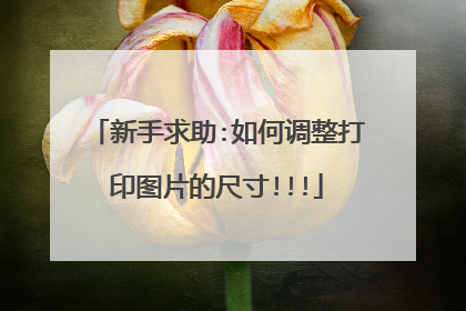新手求助:如何调整打印图片的尺寸!!!