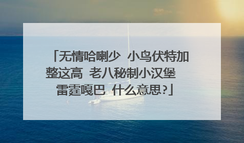 无情哈喇少 小鸟伏特加整这高 老八秘制小汉堡 雷霆嘎巴 什么意思?
