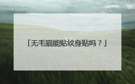 无毛猫能贴纹身贴吗？