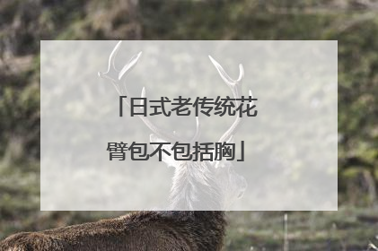 日式老传统花臂包不包括胸