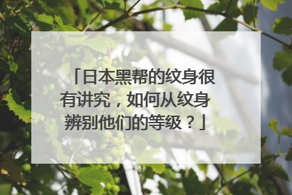 日本黑帮的纹身很有讲究，如何从纹身辨别他们的等级？