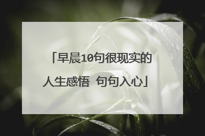 早晨10句很现实的人生感悟 句句入心