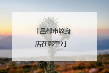 昌都市纹身店在哪里?