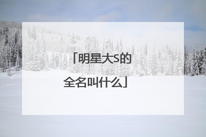 明星大S的全名叫什么