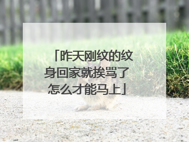 昨天刚纹的纹身回家就挨骂了怎么才能马上