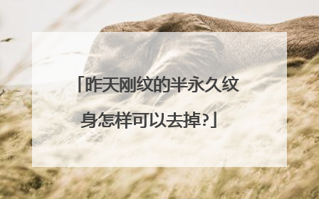 昨天刚纹的半永久纹身怎样可以去掉?