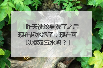 昨天洗纹身洗了之后现在起水泡了，现在可以擦双氧水吗？