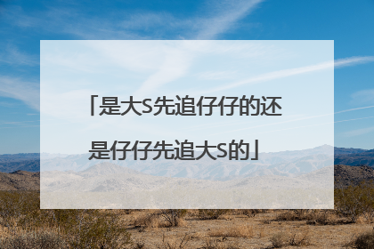 是大S先追仔仔的还是仔仔先追大S的
