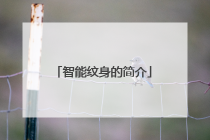 智能纹身的简介