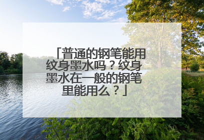 普通的钢笔能用纹身墨水吗？纹身墨水在一般的钢笔里能用么？