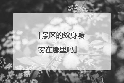 景区的纹身喷雾在哪里吗