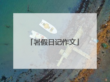 暑假日记作文