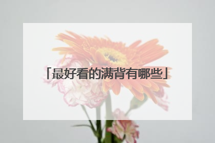 最好看的满背有哪些