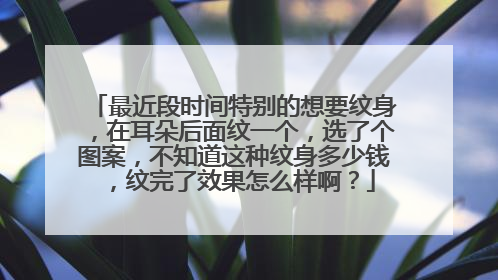 最近段时间特别的想要纹身,在耳朵后面纹一个,选了个图案,不知道这种纹身多少钱,纹完了效果怎么样啊?