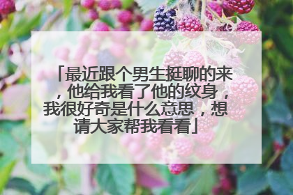 最近跟个男生挺聊的来，他给我看了他的纹身，我很好奇是什么意思，想请大家帮我看看