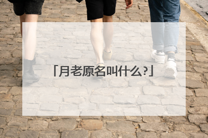 月老原名叫什么?