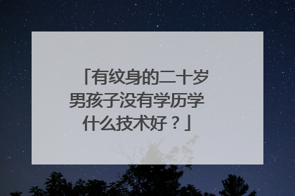 有纹身的二十岁男孩子没有学历学什么技术好?