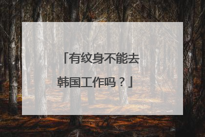 有纹身不能去韩国工作吗？