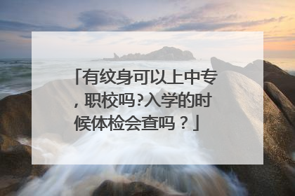 有纹身可以上中专，职校吗?入学的时候体检会查吗？