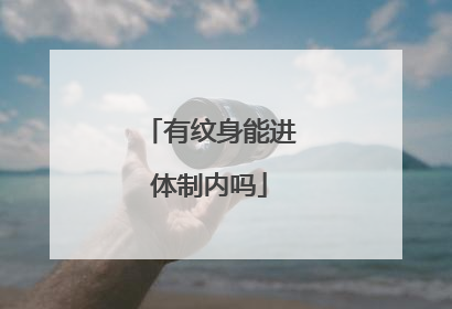 有纹身能进体制内吗