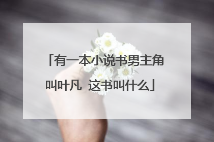 有一本小说书男主角叫叶凡 这书叫什么