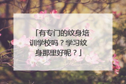 有专门的纹身培训学校吗？学习纹身那里好呢？