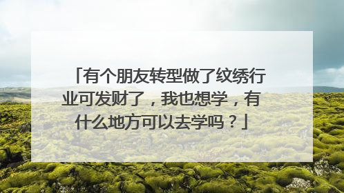 有个朋友转型做了纹绣行业可发财了，我也想学，有什么地方可以去学吗？