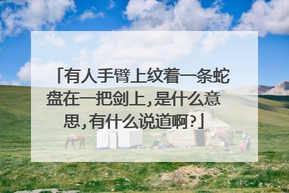 有人手臂上纹着一条蛇盘在一把剑上,是什么意思,有什么说道啊?