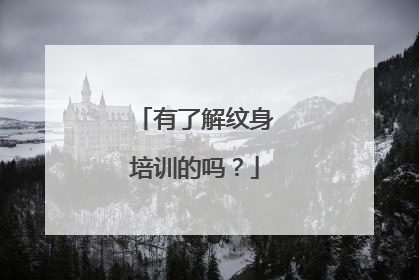 有了解纹身培训的吗？