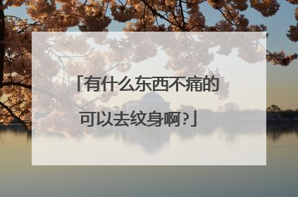 有什么东西不痛的可以去纹身啊?