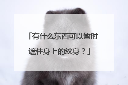 有什么东西可以暂时遮住身上的纹身?