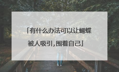 有什么办法可以让蝴蝶被人吸引,围着自己