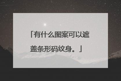 有什么图案可以遮盖条形码纹身。