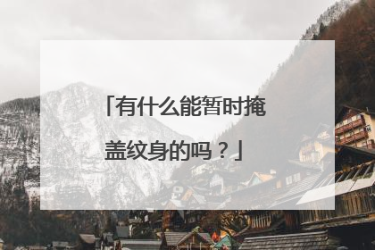 有什么能暂时掩盖纹身的吗？