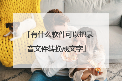 有什么软件可以把录音文件转换成文字