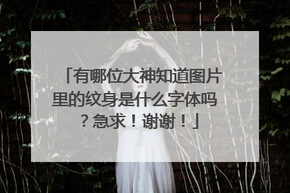 有哪位大神知道图片里的纹身是什么字体吗？急求！谢谢！