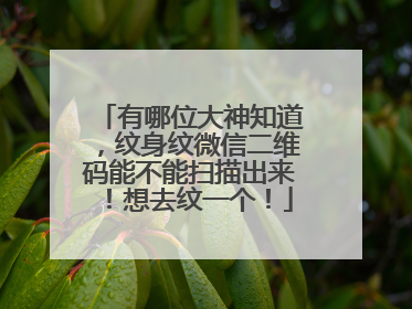 有哪位大神知道，纹身纹微信二维码能不能扫描出来！想去纹一个！