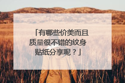 有哪些价美而且质量很不错的纹身贴纸分享呢?