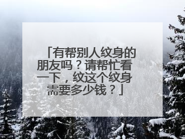 有帮别人纹身的朋友吗？请帮忙看一下，纹这个纹身需要多少钱？