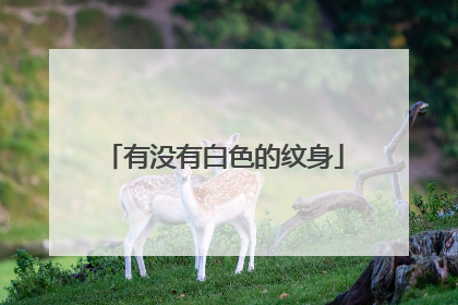 有没有白色的纹身