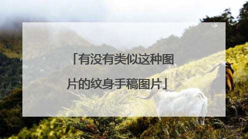 有没有类似这种图片的纹身手稿图片