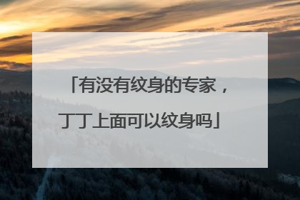 有没有纹身的专家，丁丁上面可以纹身吗