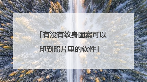 有没有纹身图案可以印到照片里的软件