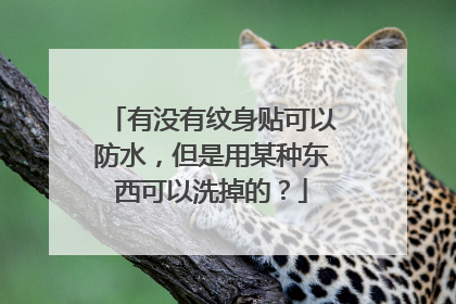 有没有纹身贴可以防水，但是用某种东西可以洗掉的？