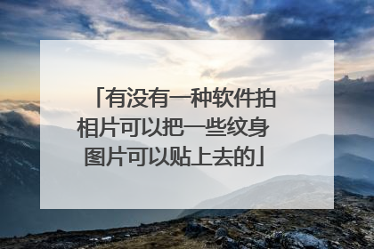 有没有一种软件拍相片可以把一些纹身图片可以贴上去的